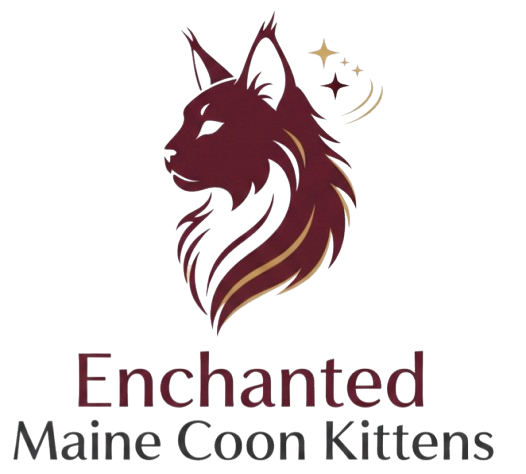 Enchanted Maine Coon Kittens